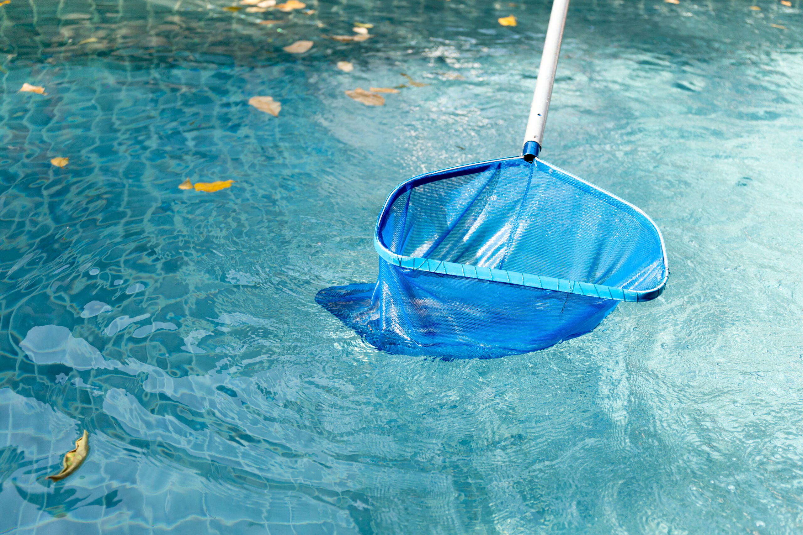 cleaning-swimming-pool-of-fallen-leaves-with-blue-2025-10-16-10-14-28-utc