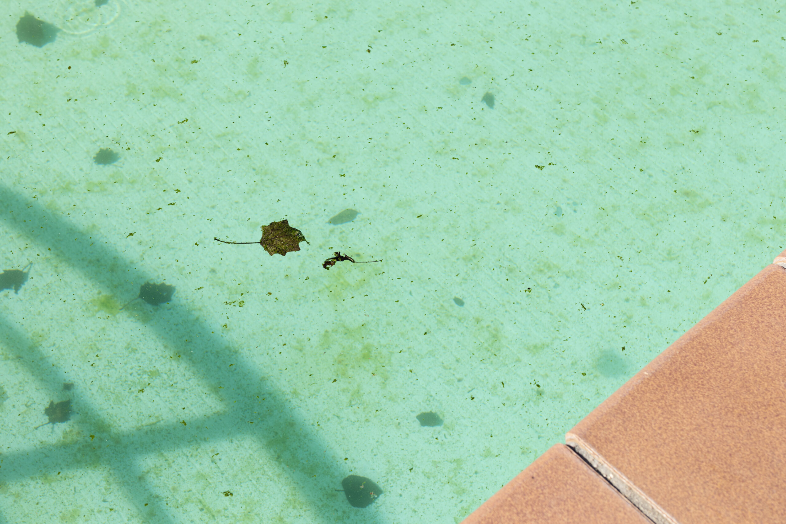 Dirty swimming pool background