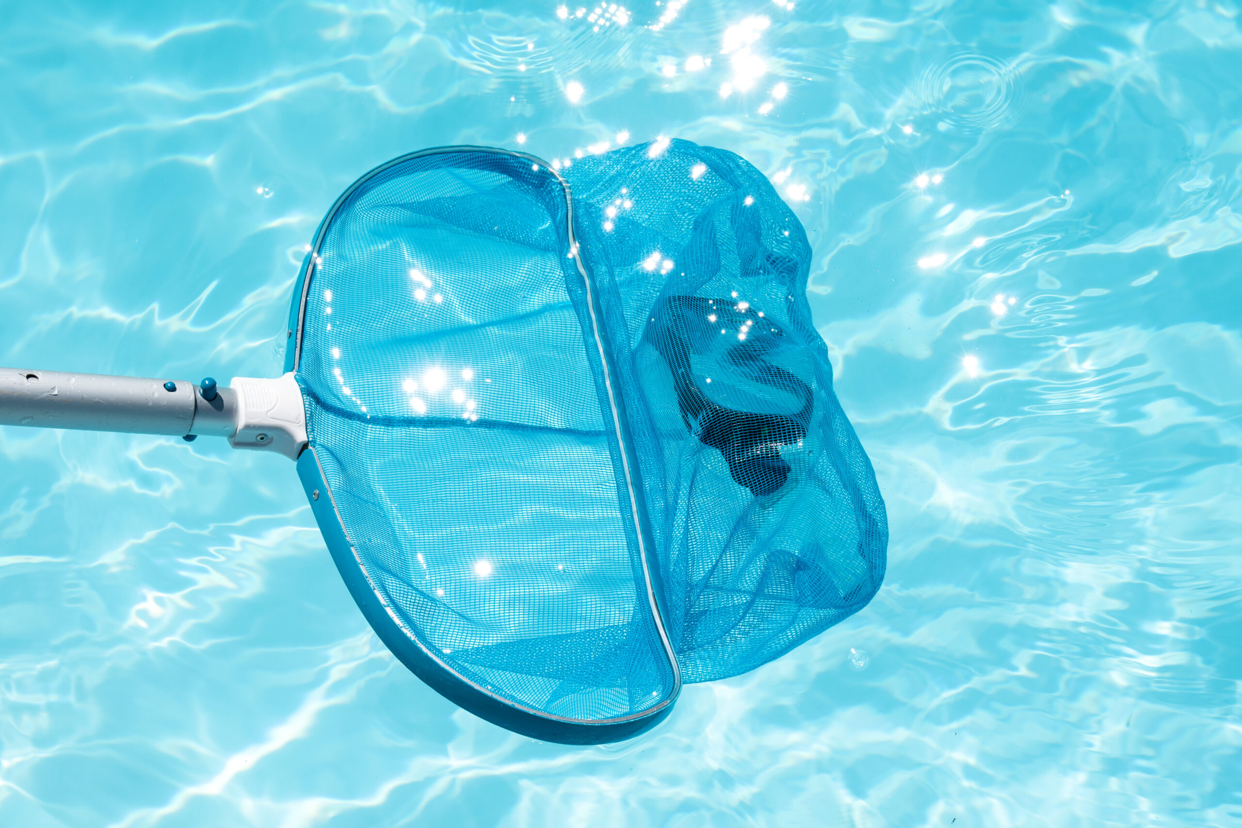 Pool Skimmer cleaning swimming pool
