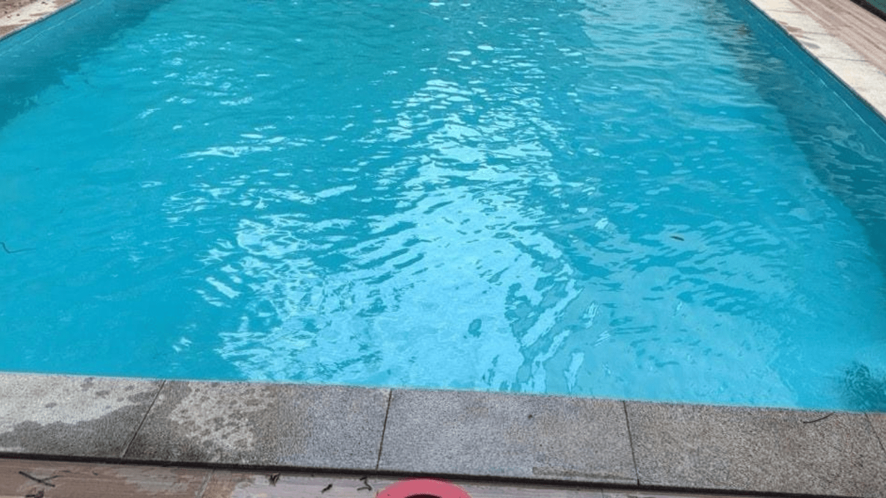 swimming pool service