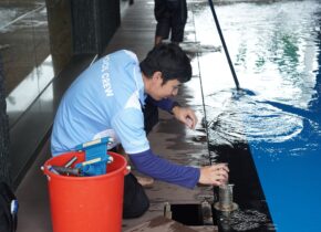 swimming pool specialists